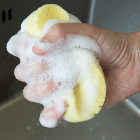 Dishwashing Pot Seaweed Sponge Love Doing Housework
